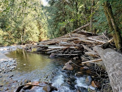 Chapman Creek - Calpine, California campground