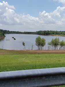 Colfax Rec Area Campground - Colfax, Louisiana