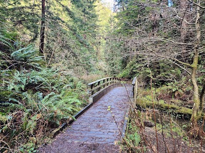 Van Damme State Park - Little River, California campground