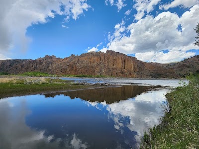 Big Game - Cody, Wyoming