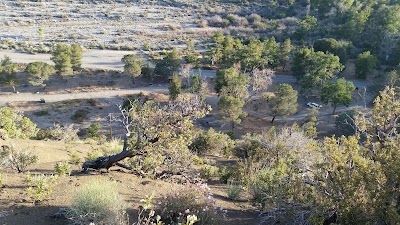 Sycamore Flat Campground - Pearblossom, California campground