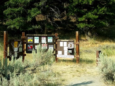 Holman Creek - Clayton, Idaho campground