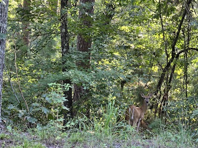Jackson Creek Park - Lake Texarkana - Douglassville, Texas campground