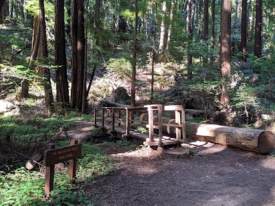 Butano State Park - Pescadero, California campground