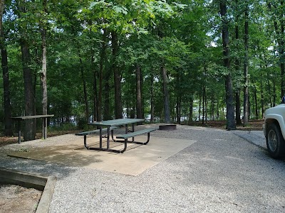 Herron Creek - Wright Patman Reservoir - Maud, Texas campground