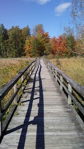 Rambadt City Park - Reed City, Michigan campground
