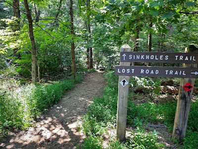 Panther Creek State Park - Morristown, Tennessee campground