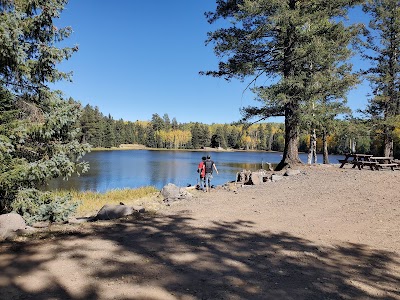 Drift Fence Lake - Whiteriver, Arizona campground