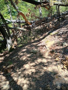 Brushy Lake - Houston, Alabama campground