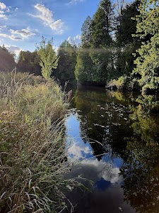 Pettit Park - Clare, Michigan campground