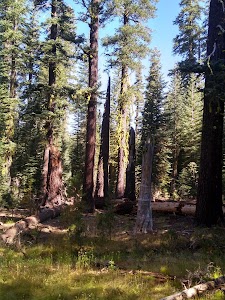 Silver Valley - Arnold, California campground