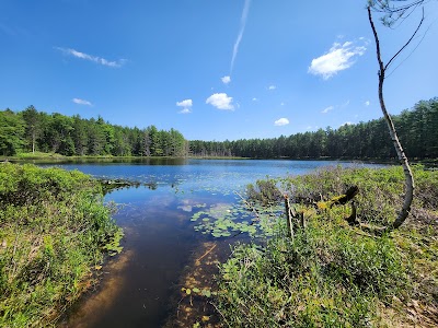Round Lake - State Forest - Vanderbilt, Michigan campground