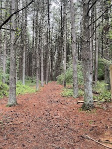 Sugar Hollow City Park campground