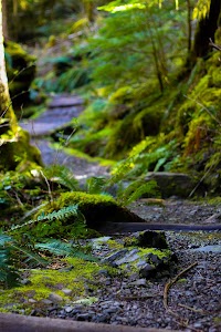Staircase - Olympic National Park - Montesano, Washington campground