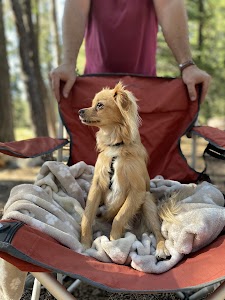Packsaddle - Sierra City, California campground
