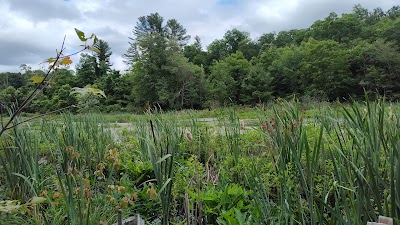 Wolf Den - Mashamoquet Brook State Park - Pomfret, Connecticut campground