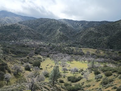 Los Gatos Creek Park - Coalinga, California campground