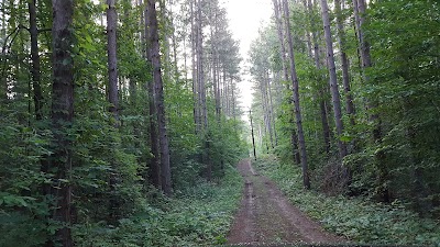 Pine Point Campground - Allegan, Michigan campground