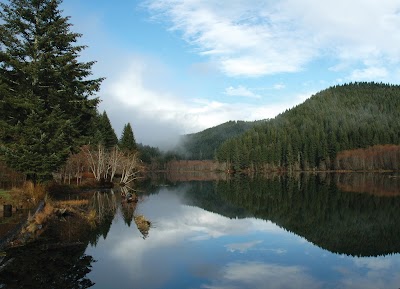 Hult Pond - Dispersed - Blachly, Oregon campground