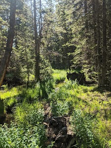 Grave Springs - Powder River, Wyoming campground