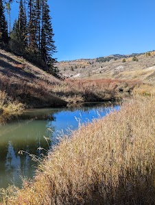 Pine Bar - Wayan, Idaho campground