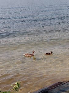 Lake Gillette - Colville, Washington campground