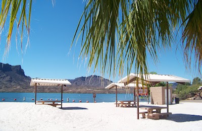 Cattail Cove State Park - Lake Havasu City, Arizona campground