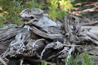 Snag Lake - Sierra City, California campground