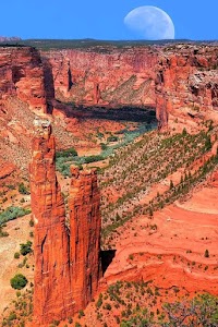 Cottonwood - Canyon de Chelly National Monument - Chinle, Arizona campground