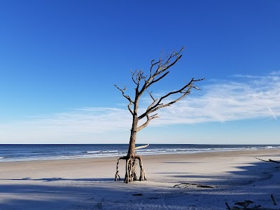 Little Talbot Island State Park campground