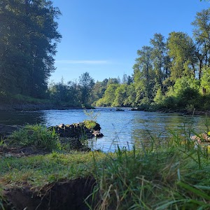 Waterloo County Park - Lebanon, Oregon campground