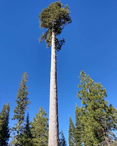 Warner Creek - Chester, California campground