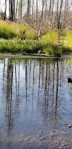 Sylvan Lake - Libby, Montana campground