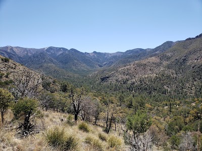 West Turkey Creek campground