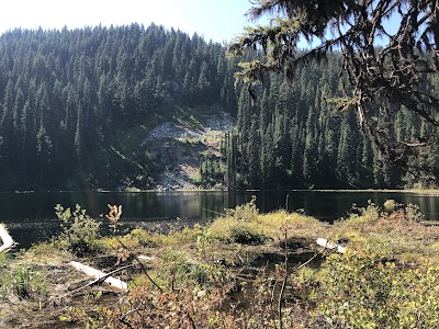 Mammoth Springs - Avery, Idaho campground