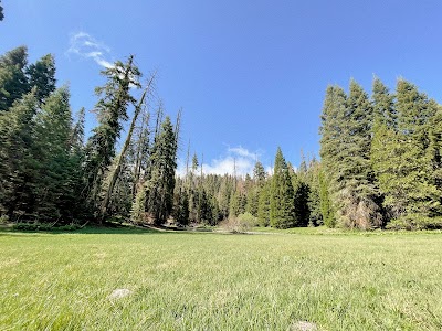 Holey Meadow - Camp Nelson, California campground