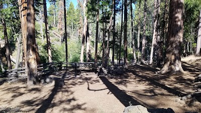 Rocky - Hat Creek, California campground