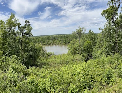 Torreya State Park - Bristol, Florida campground