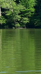 Rushing Creek - LBL - Murray, Kentucky campground