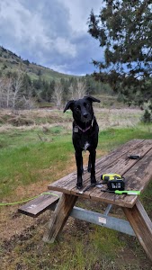 Lone Pine - Kimberly, Oregon campground