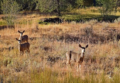 Wolf Creek - Paulina, Oregon campground