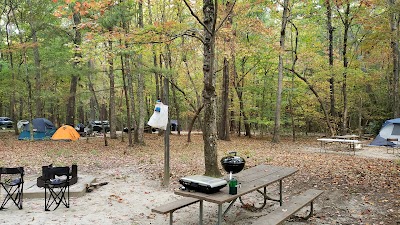 William B. Umstead State Park - Cary, North Carolina campground