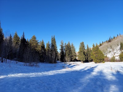 Lower Penstemon - Hansen, Idaho campground