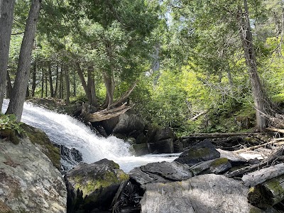 Carney Lake - Crystal Falls State Forest - Sagola, Michigan campground