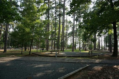 Piney Point - Wright Patman Lake - Queen City, Texas campground