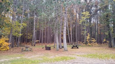 Goose Creek Trail Camp - State Forest - Grayling, Michigan campground