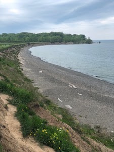 Lakeside Beach State Park - Waterport, New York campground