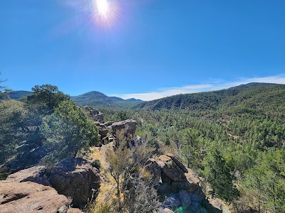 Ben Lilly campground
