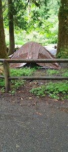 Porter Creek Campground - Elma, Washington campground