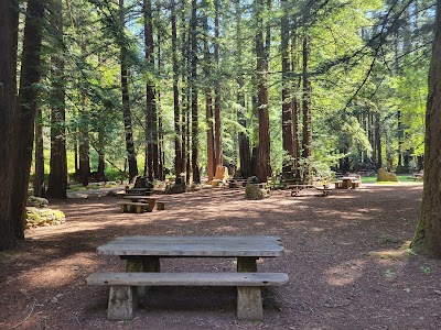 Samuel Taylor State Park - Lagunitas, California campground
